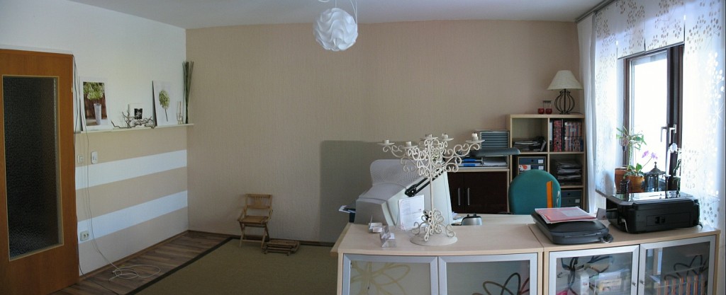 Blick ins neue Arbeitszimmer