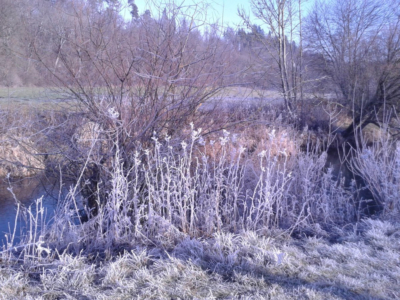 sigmaringen_dez2015_007