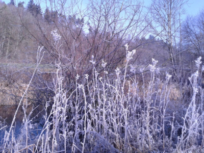 sigmaringen_dez2015_008