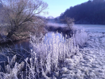 sigmaringen_dez2015_010