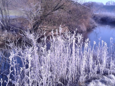 sigmaringen_dez2015_011